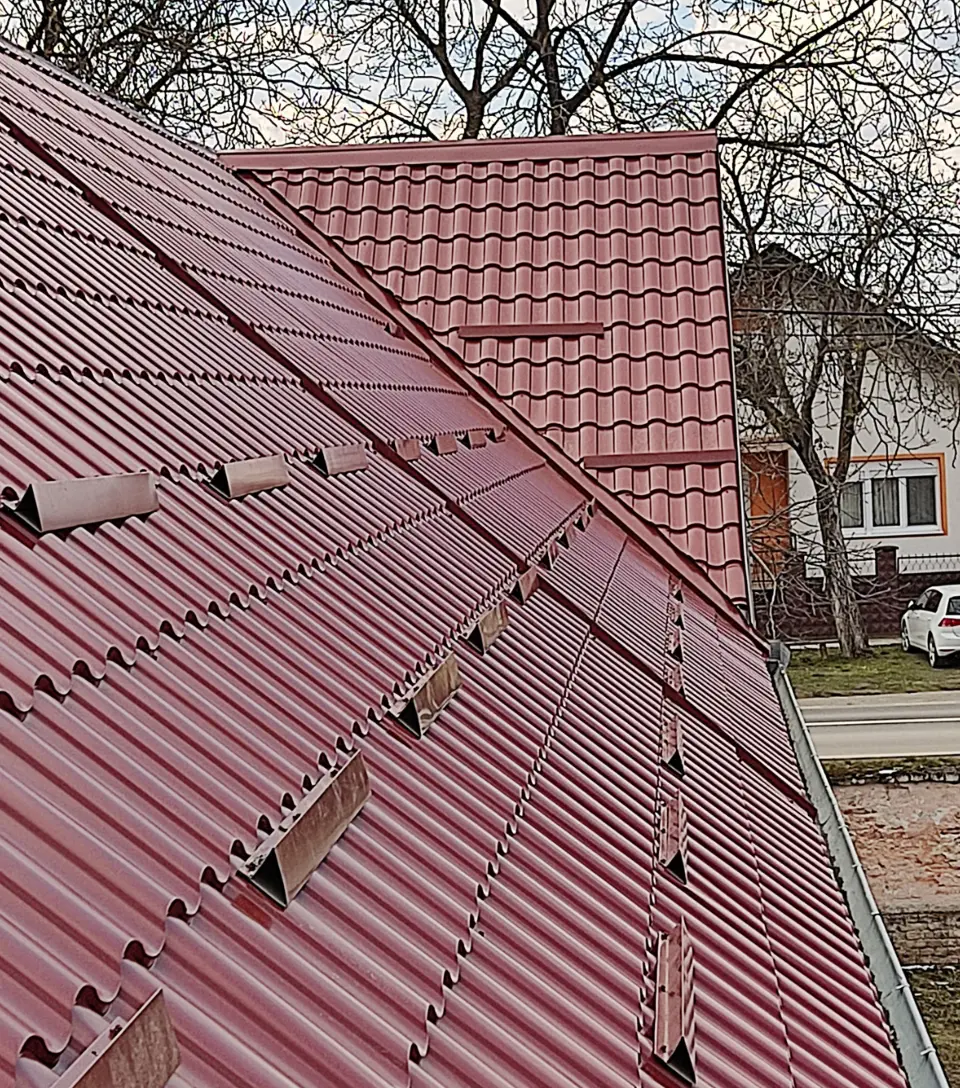 Limarija Imate vlagu u kući, a krivite zidove? Možda je problem gore, na krovu