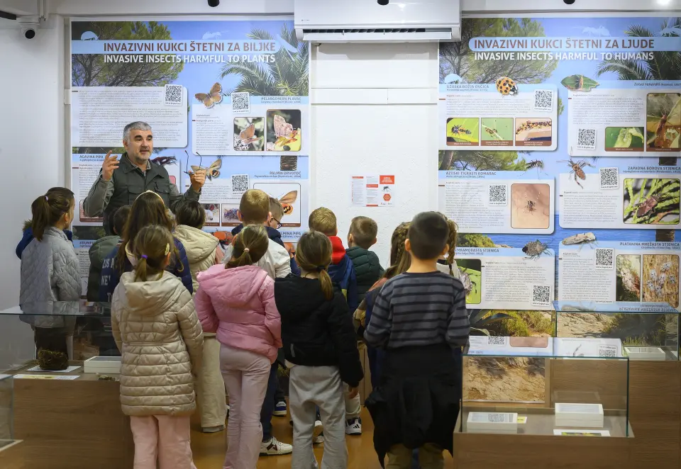 Učenje kroz igru: Zašto je Prirodoslovni muzej i ZOO u Splitu omiljena dječja adresa?