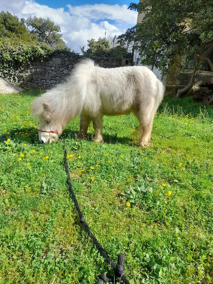Učenje kroz igru: Zašto je Prirodoslovni muzej i ZOO u Splitu omiljena dječja adresa?