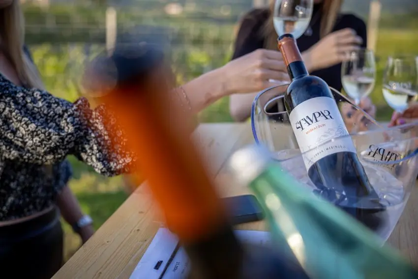 Vinski izlet u Međimurje: Mađerkin breg nudi nagrađena vina i pogled bez granica