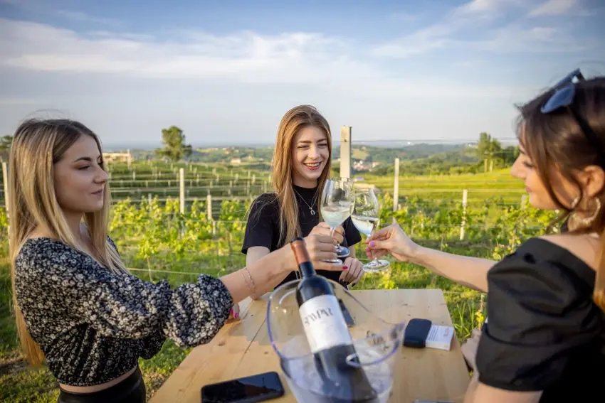 Vinski izlet u Međimurje: Mađerkin breg nudi nagrađena vina i pogled bez granica