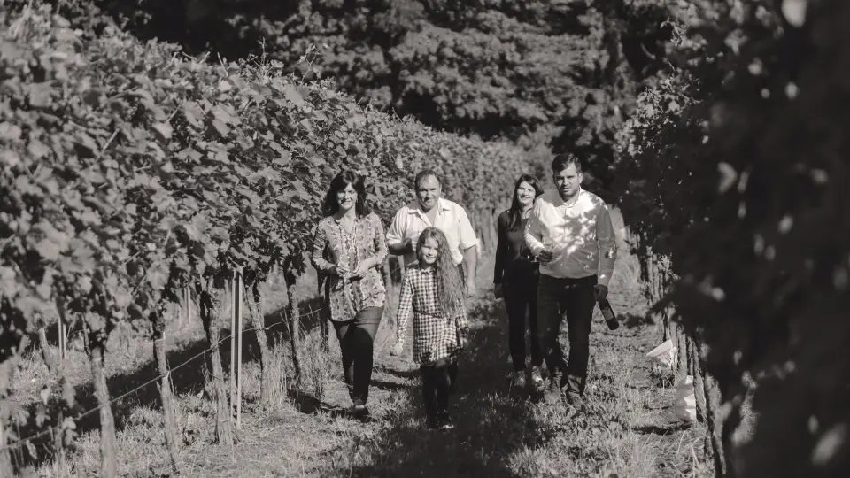 Vinski izlet u Međimurje: Mađerkin breg nudi nagrađena vina i pogled bez granica