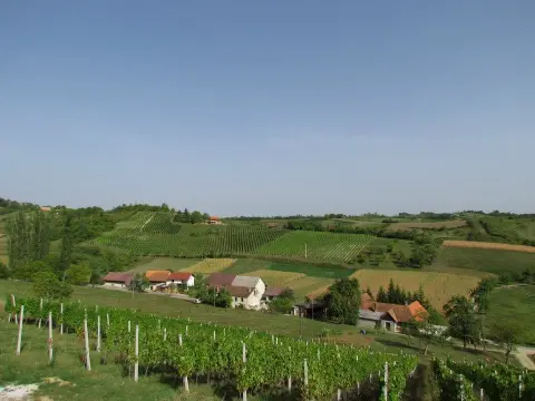 Vinski dragulj iz Krašića: Šampionska vina Šimanović sada su dostupna u par klikova