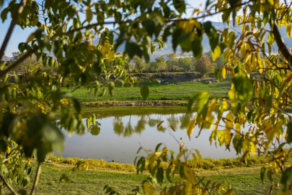 Dračanica