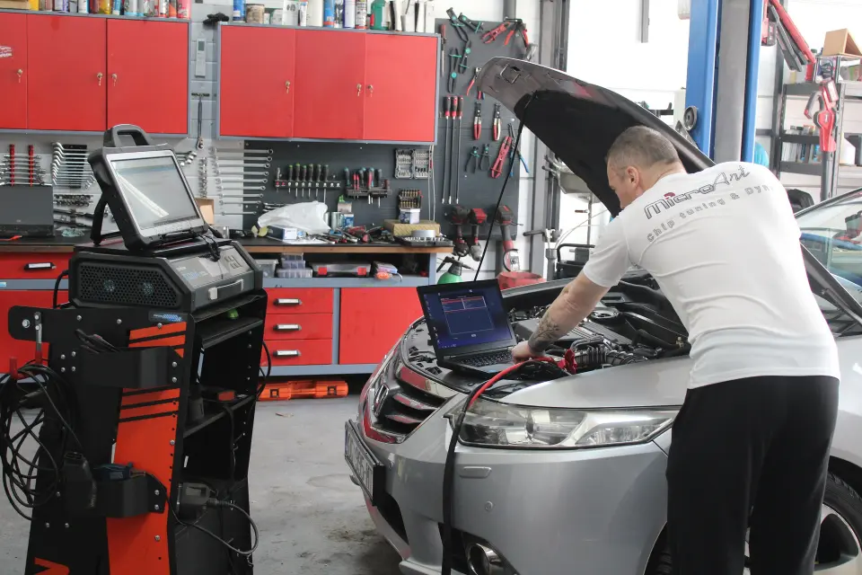 Od hobija do auto chiptuninga: Priča o MicroArtu iz Šljivoševaca
