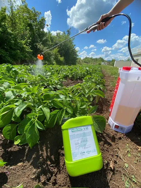Bio-algeen proizvodi sve su traženiji: što ih čini zanimljivima za uzgoj?