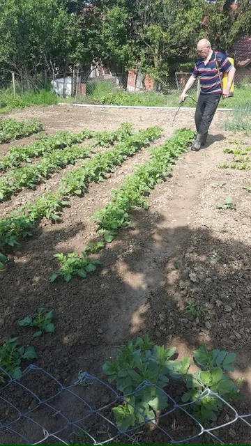 Bio-algeen proizvodi sve su traženiji: što ih čini zanimljivima za uzgoj?