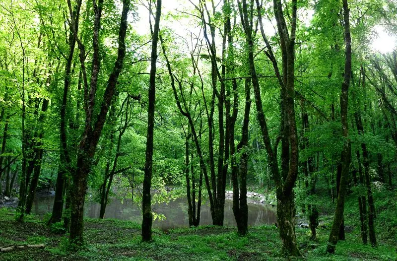 Od Kuće halubajskega zvončara do vrhunskog gastro doživljaja: Evo zašto posjetiti Viškovo
