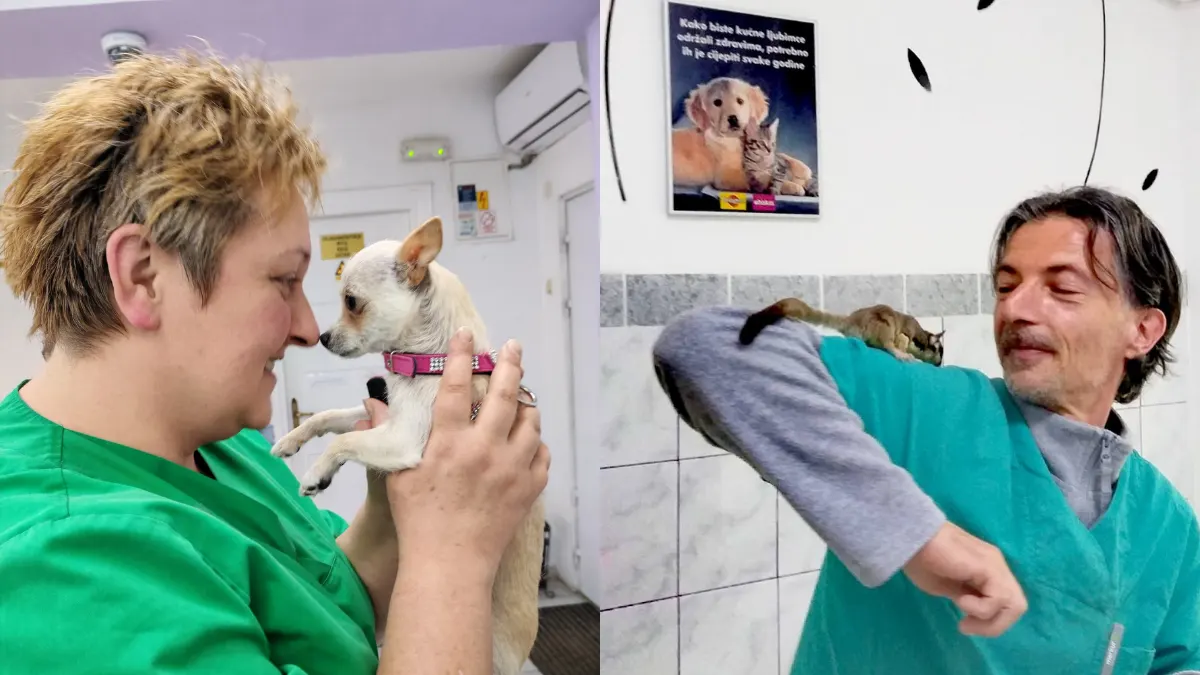 Hospivet u Zagrebu: veterinarska skrb u kojoj su ljubimci na prvom mjestu