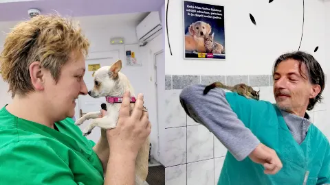 Hospivet u Zagrebu: veterinarska skrb u kojoj su ljubimci na prvom mjestu