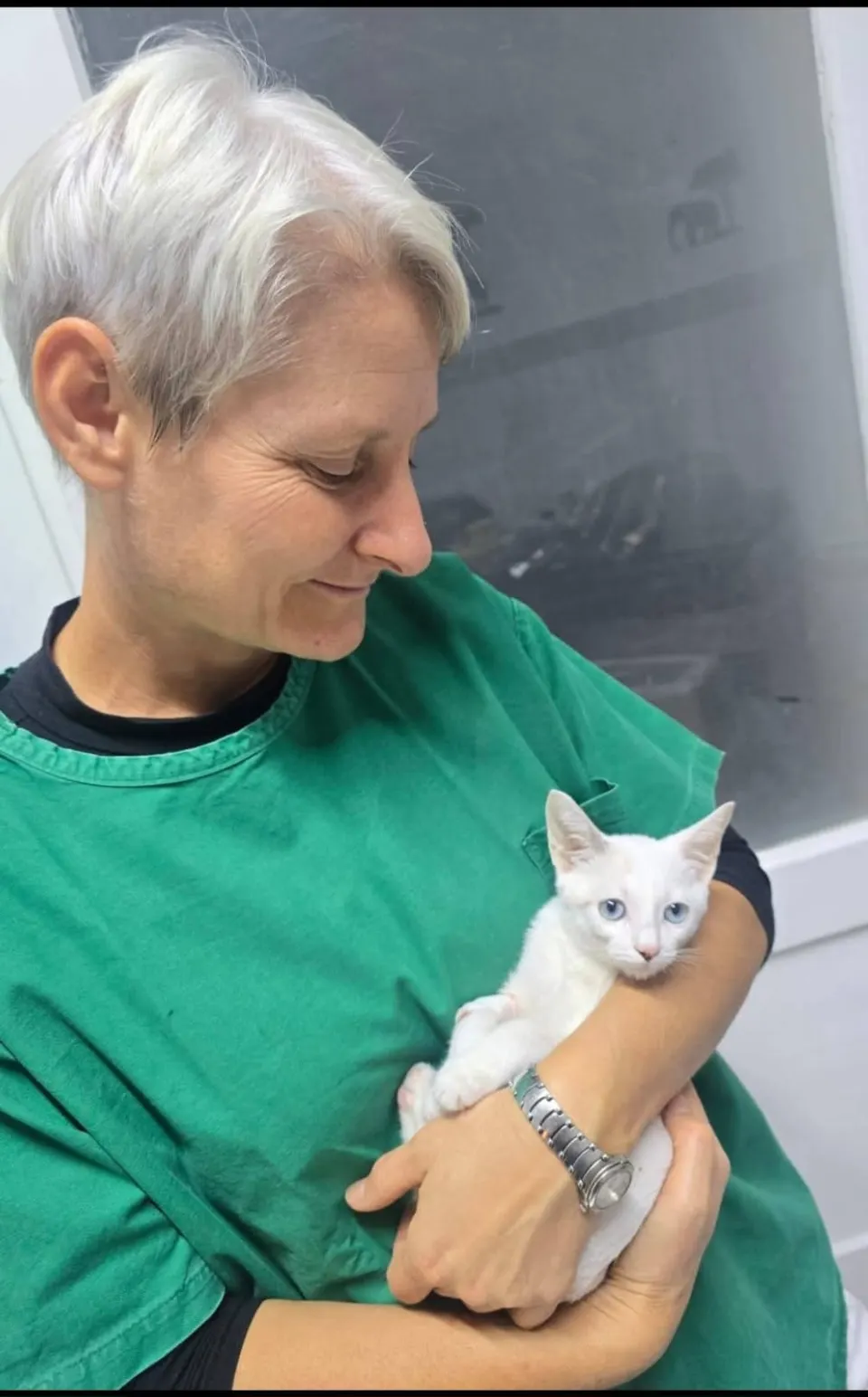 Hospivet u Zagrebu: veterinarska skrb u kojoj su ljubimci na prvom mjestu
