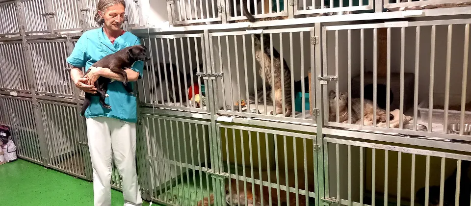 Hospivet u Zagrebu: veterinarska skrb u kojoj su ljubimci na prvom mjestu