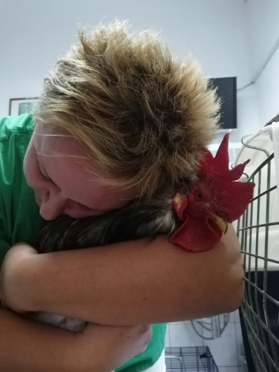 Hospivet u Zagrebu: veterinarska skrb u kojoj su ljubimci na prvom mjestu