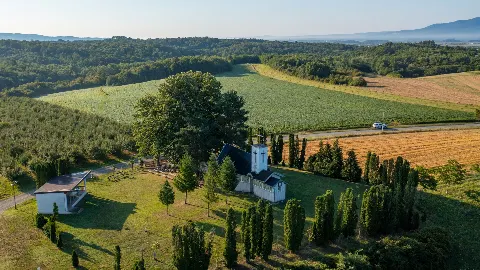 Vinogradi, šume i stoljetne crkve: što vas čeka u srcu Brodsko-posavske županije
