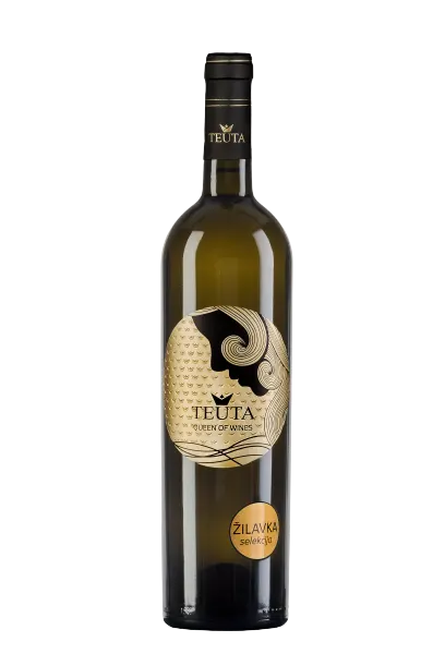 Tragom hercegovačkih vinograda: Žilavka, Blatina i tradicija