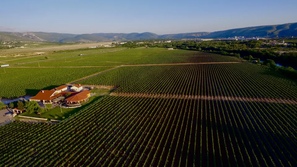 Tragom hercegovačkih vinograda: Žilavka, Blatina i tradicija