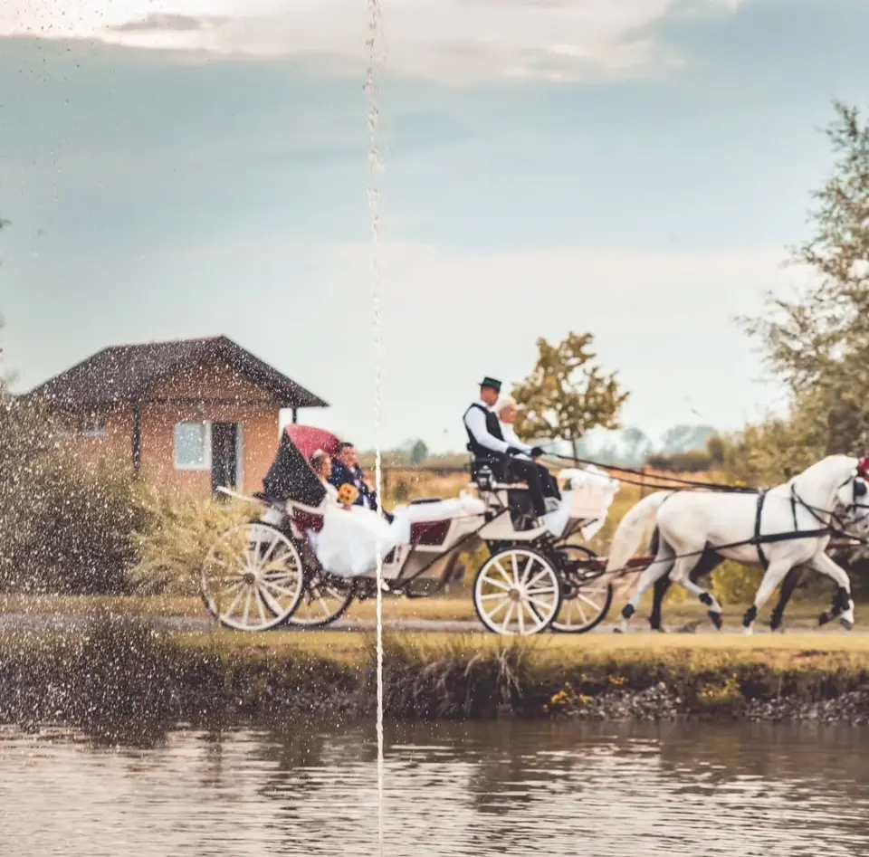 Fotografija kao magija: Nevjerojatne priče iza svakog kadra!
