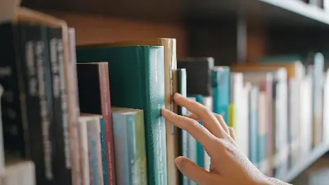 Najtraženije knjige i lektire – saznajte gdje ih nabaviti brzo i povoljno!