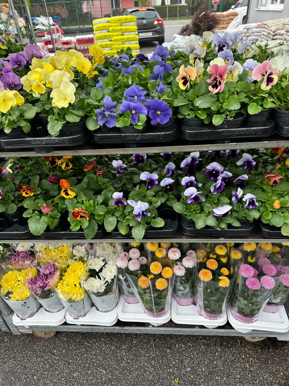Tražite posao agronoma u Samoboru? Ovdje teorija postaje praksa
