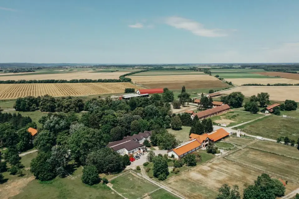Restoran koji nudi puno više od hrane: Otkrijte pravi doživljaj Slavonije
