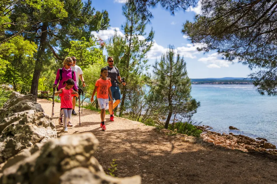 Ovo nije običan izlet na Krk: Malinska nudi berbu maslina, okuse i wellness
