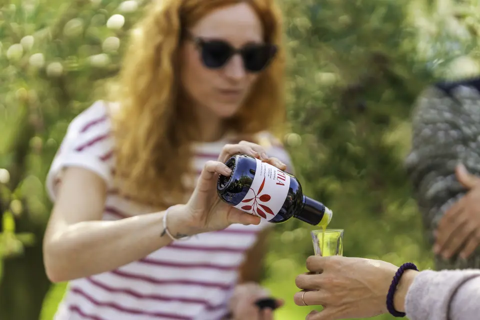 Ovo nije običan izlet na Krk: Malinska nudi berbu maslina, okuse i wellness