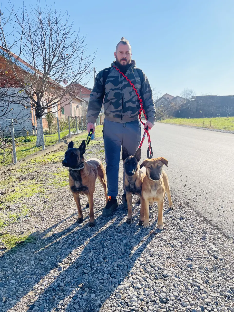 Vaš pas može biti poslušan i sretan – saznajte kako!