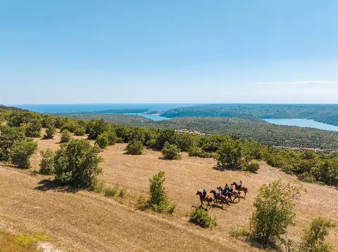 Jahanje konja u Istri tijekom cijele godine: doživljaj koji veseli djecu i odrasle
