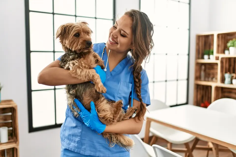 Digitalno rješenje koje olakšava rad svake veterinarske ambulante