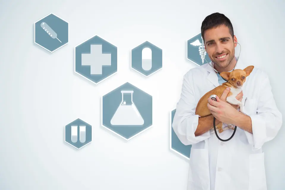 Digitalno rješenje koje olakšava rad svake veterinarske ambulante