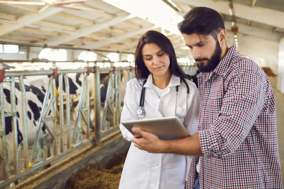 Digitalno rješenje koje olakšava rad svake veterinarske ambulante