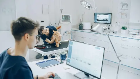 Digitalno rješenje koje olakšava rad svake veterinarske ambulante