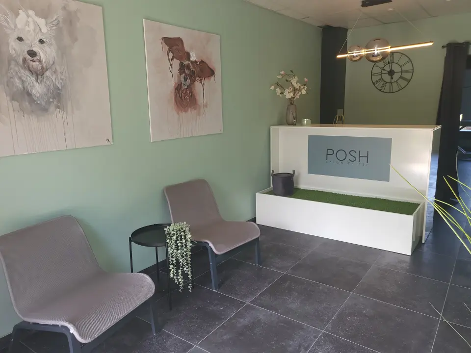 Luksuz za vašeg psa: Spa tretman, mirisna kozmetika i nježan dodir