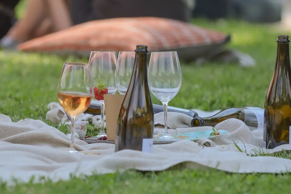 Vikend za dušu: Festival pjenušaca i jagoda na čarobnoj Plešivici