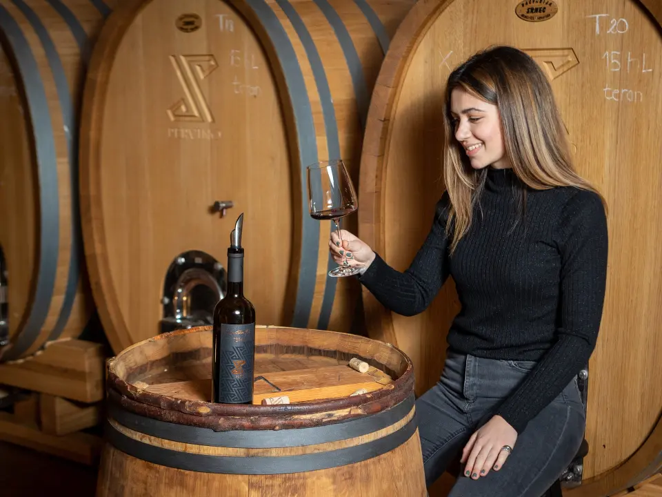 Putujte kroz povijest i okus s vinarijom iz Novigrada: Degustacije koje čuvaju tradiciju