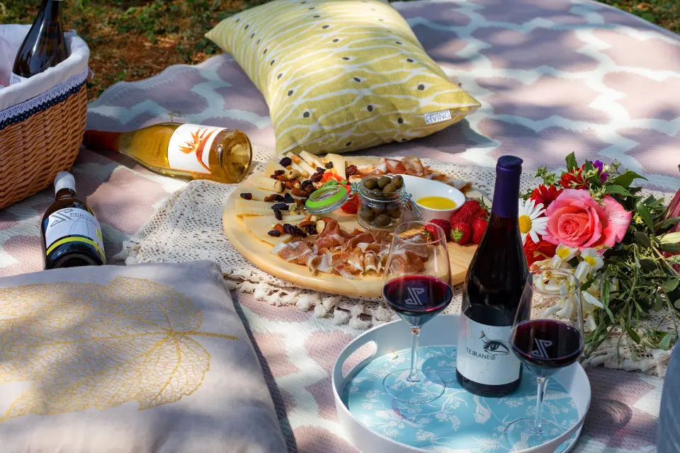Putujte kroz povijest i okus s vinarijom iz Novigrada: Degustacije koje čuvaju tradiciju