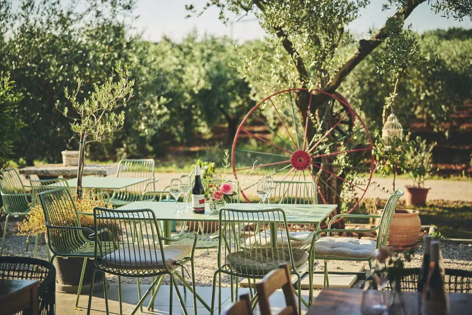Putujte kroz povijest i okus s vinarijom iz Novigrada: Degustacije koje čuvaju tradiciju