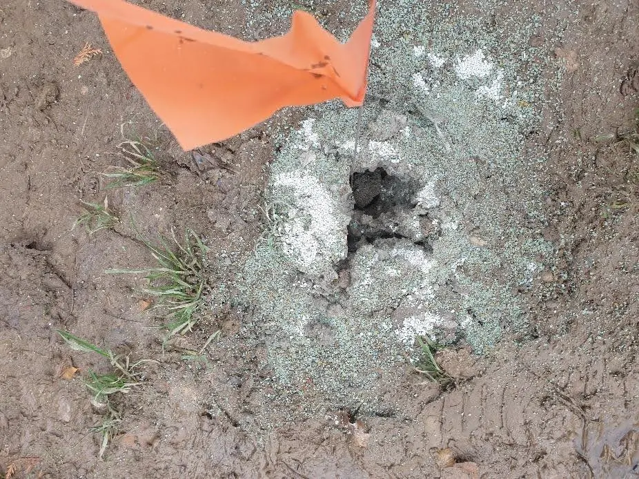 Stabla ne treba rušiti – treba ih revitalizirati: Geoinjektiranje donosi rješenje