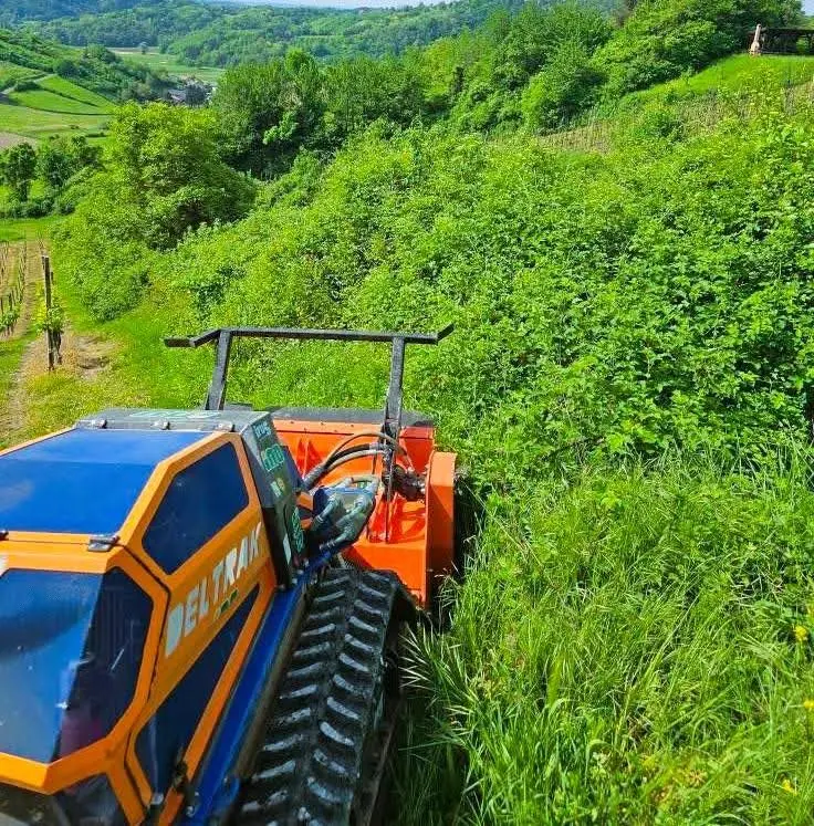 Stabla ne treba rušiti – treba ih revitalizirati: Geoinjektiranje donosi rješenje