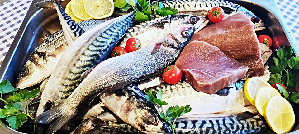 Mjesto u kojem je ručak užitak, a proslave nezaboravne – Restoran Fokus