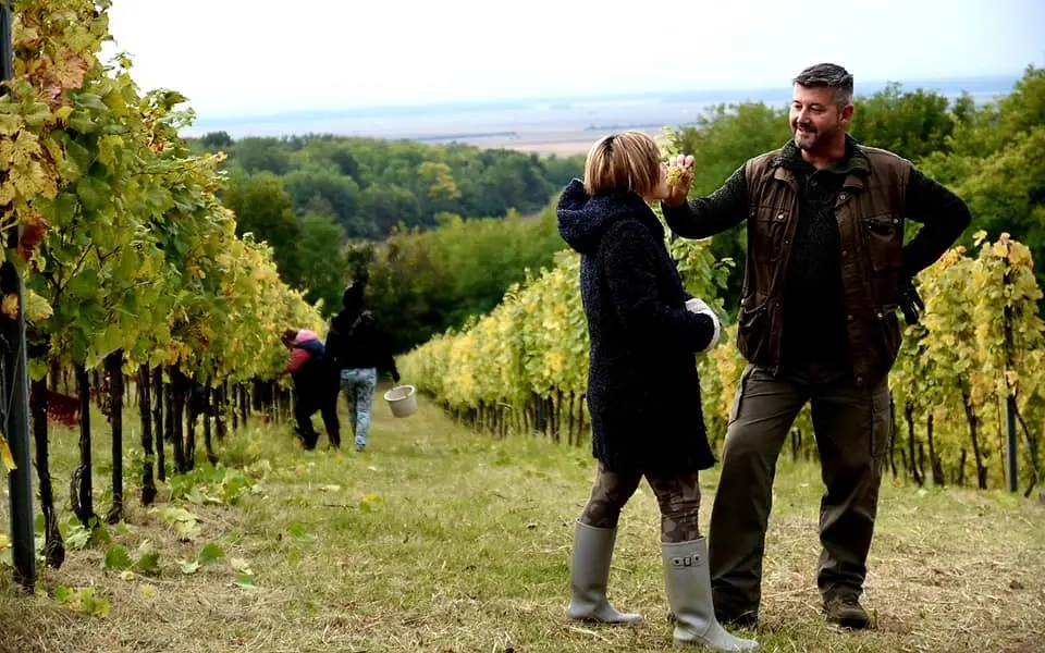 Karanac krije biser za hedoniste: Upoznajte vinariju Svijetli dvori