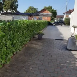 Ne tražite dalje: Idealne sadnice za vaš vrt čekaju vas kraj Zagreba