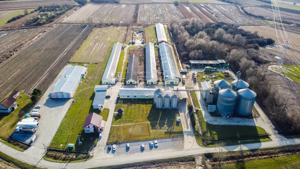 Spasimo hrvatsku proizvodnju jaja i hrvatske farmere!