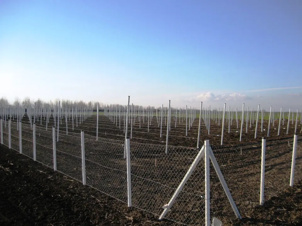 PVC stupovi s vijekom trajanja od 80 godina: rješenje za vinograde, voćnjake i ograde
