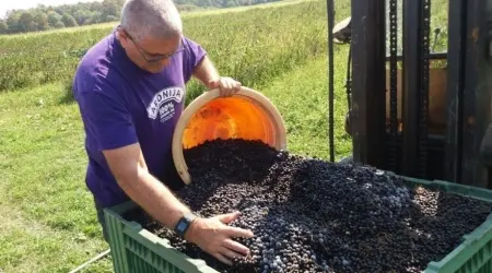 Otkrijte tajnu zdravlja: 100% prirodni sok od aronije iz srca Hrvatske