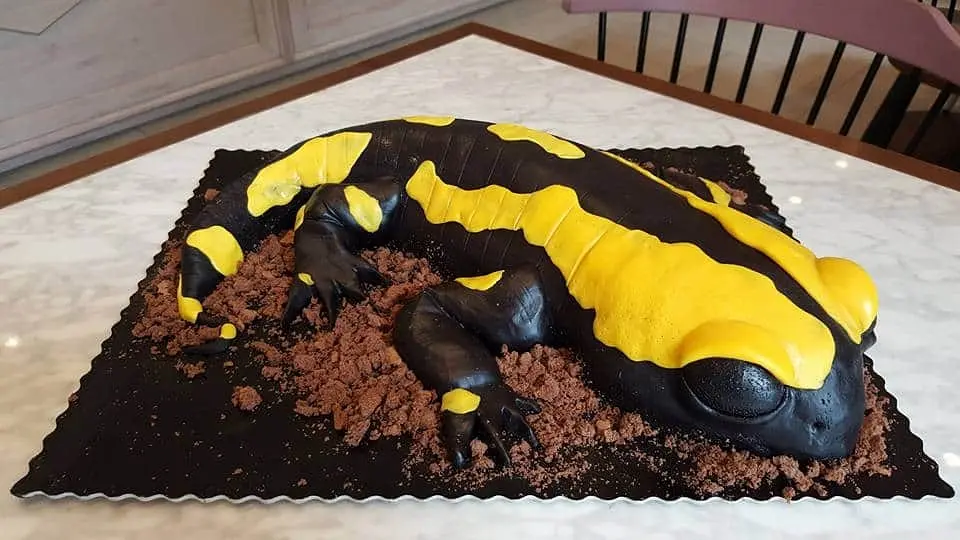 Slatki stol i 3D torte koje svi fotkaju? Evo tko stoji iza tih viralnih deserata