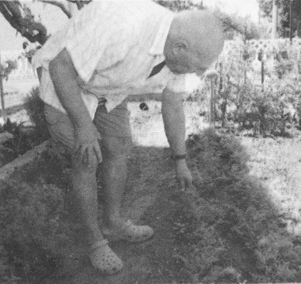 Od 1958. do danas: kako je Božo Jerkin utemeljio biljni kutak